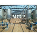 30Ton daily capacity Teaseed oil extraction equipment